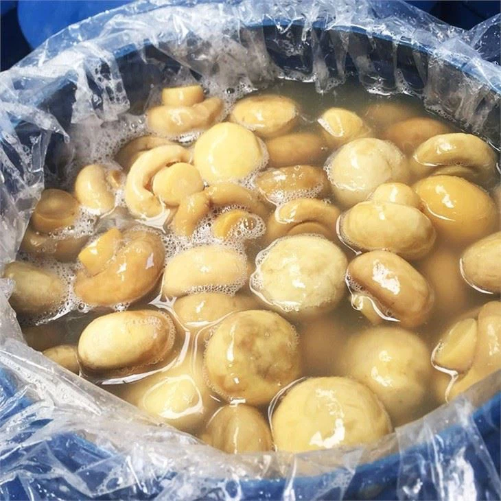 Champignon Agaricus Bisporus In Brine (2)