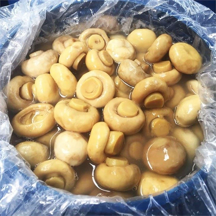 Champignon Agaricus Bisporus In Brine (3)