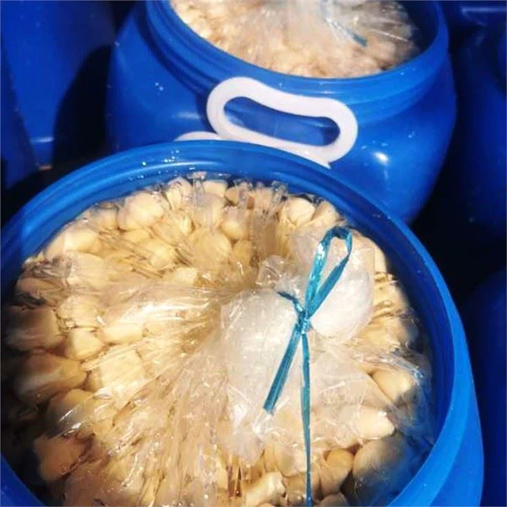 Salted Garlic Cloves in Brine (2)