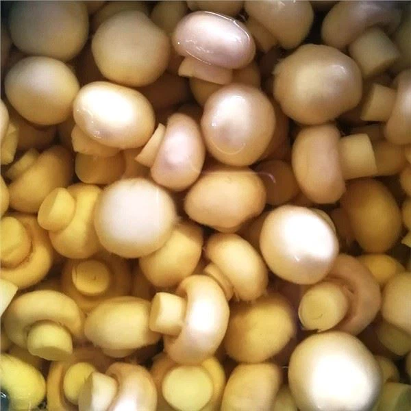 Champing Agaricus en Brine