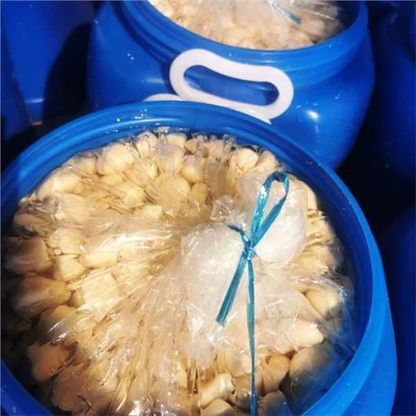 Dientes de ajo en salmuera