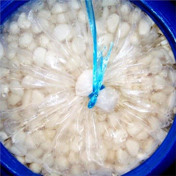 Ajo Blanco en Salmuera en Tambor de Plástico