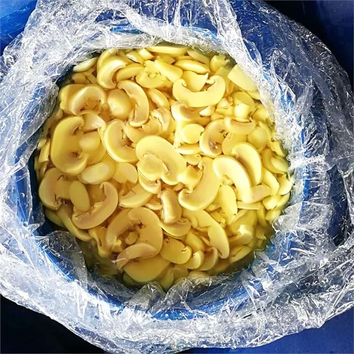 Top Quality Mushroom In Drum (2)