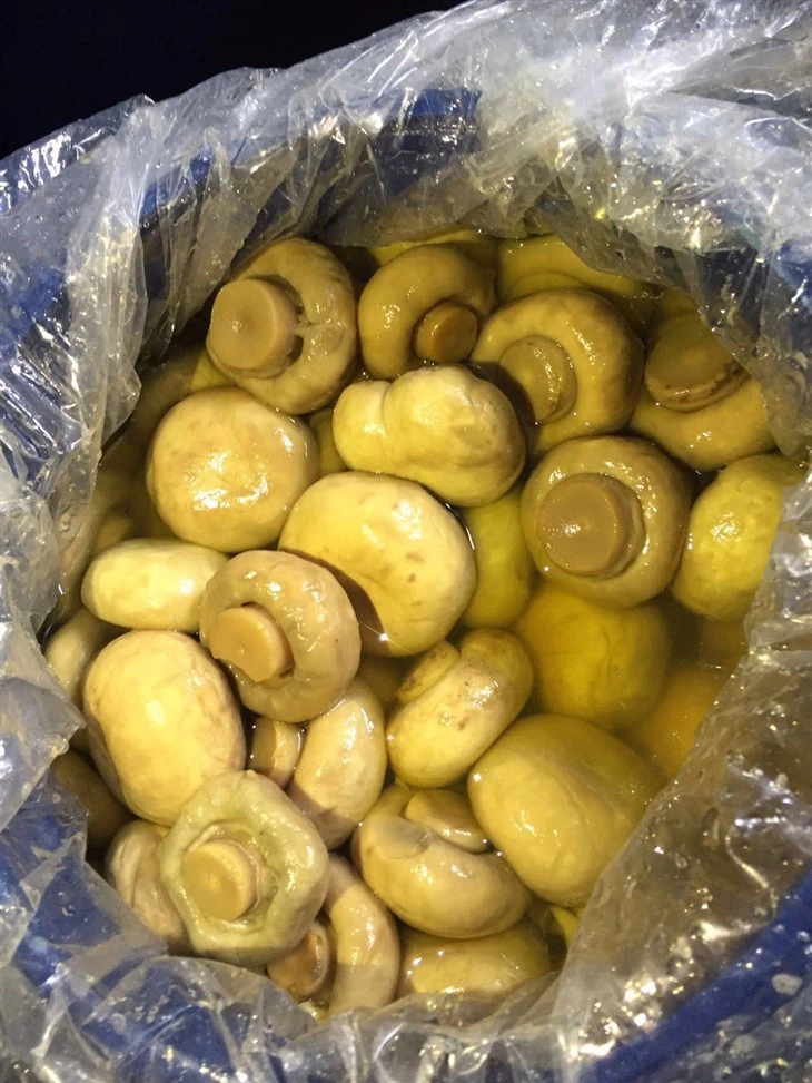 Chinese Preserved Champignon in Barrel