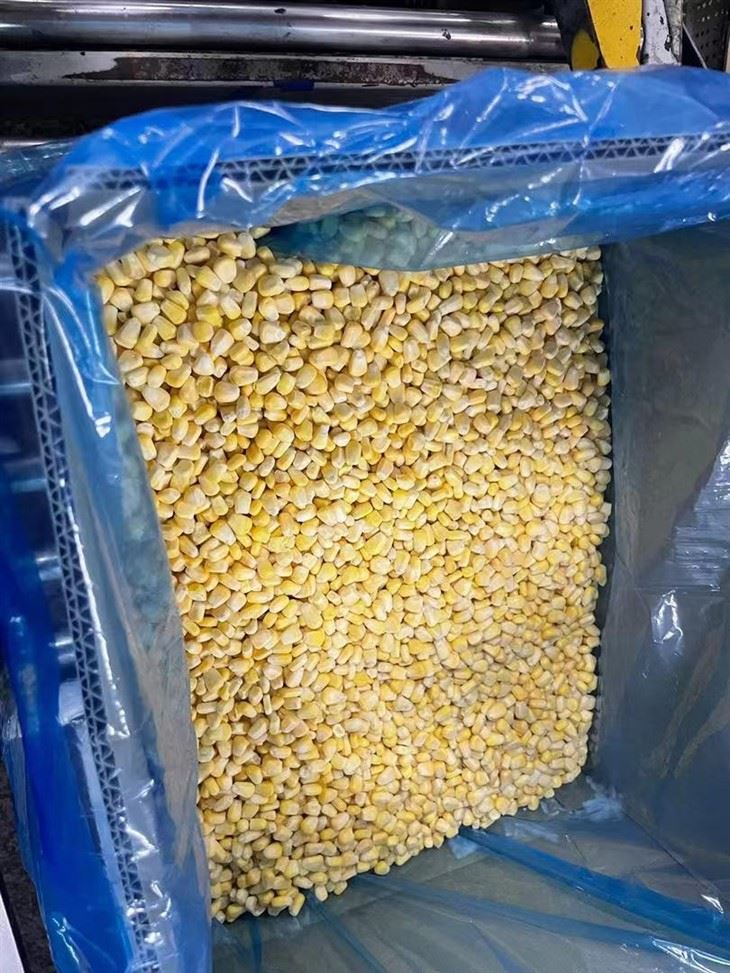 IQF FROZEN SWEEK CORN KERNELS